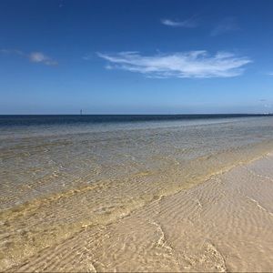 Meet your Posher, Silvia